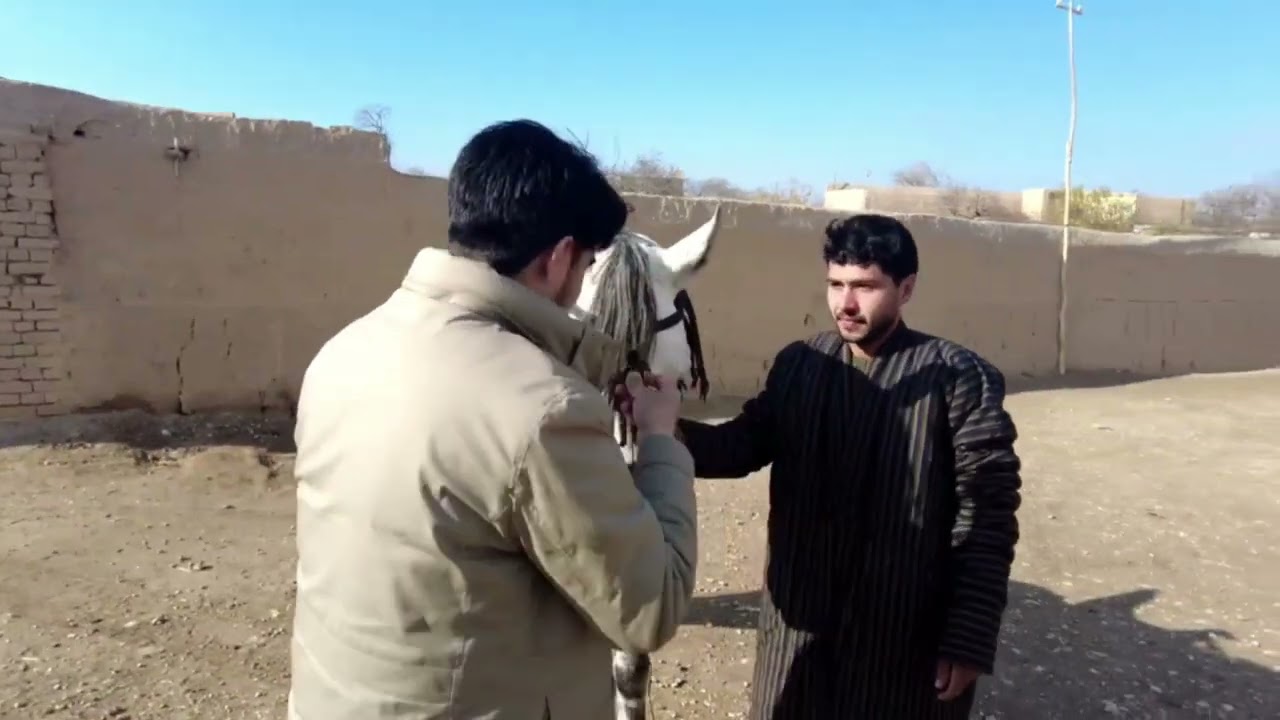 درادامه کوچه به کوچه  گزارشی ویژه از 