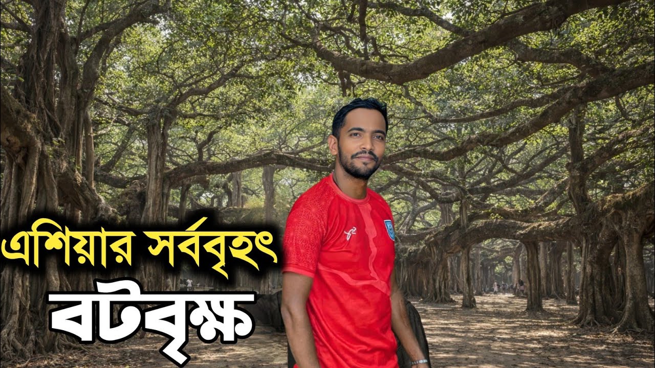 কালের সাক্ষী হয়ে আছে এশিয়ার সবচেয়ে বড় বটগাছ। ঝিনাইদহ।কালিগঞ্জ।মল্লিকপুর।।The Largest Banyan Tree।।