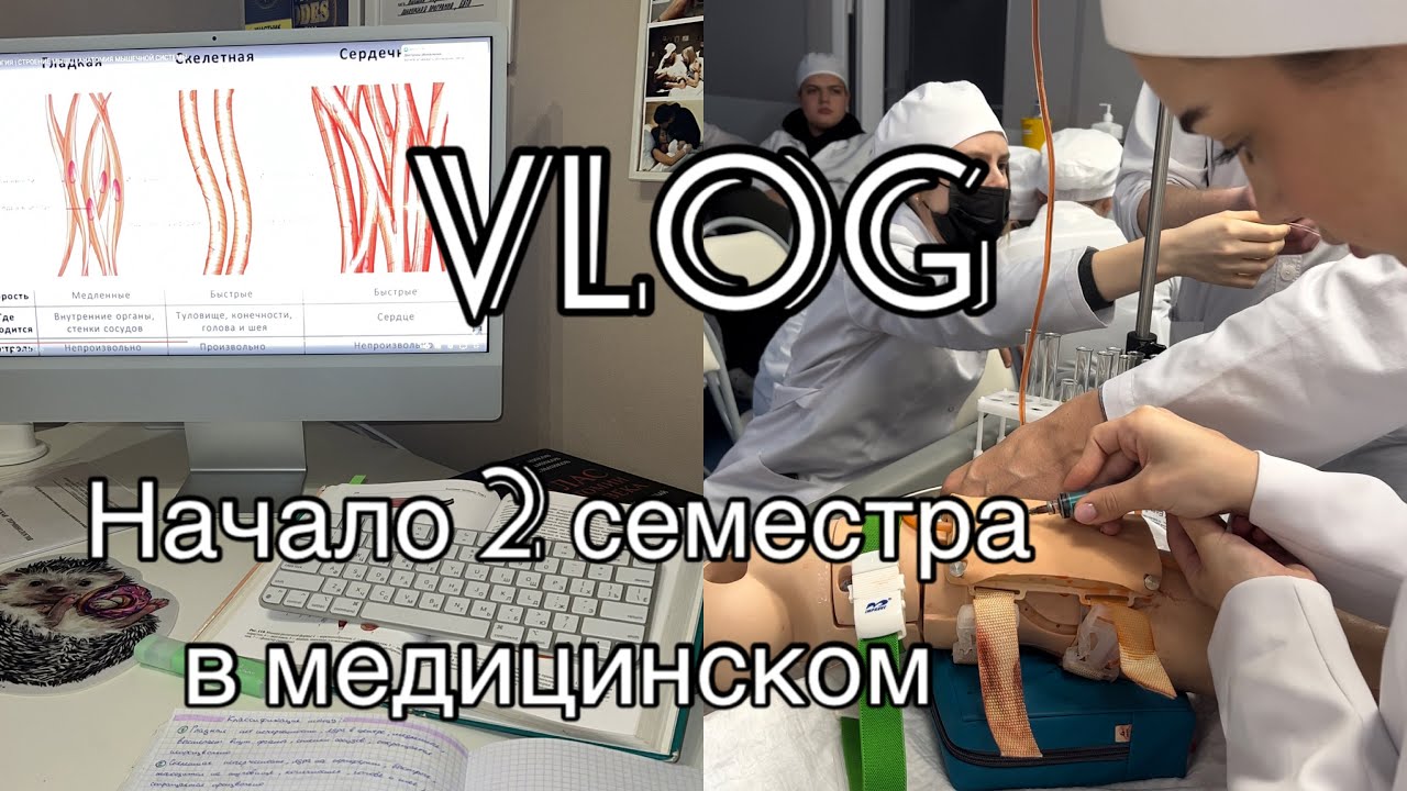 ОТЧИСЛЕНИЯ ПОСЛЕ ПЕРВОЙ СЕССИИ  | 2 СЕМЕСТР В МЕДЕ