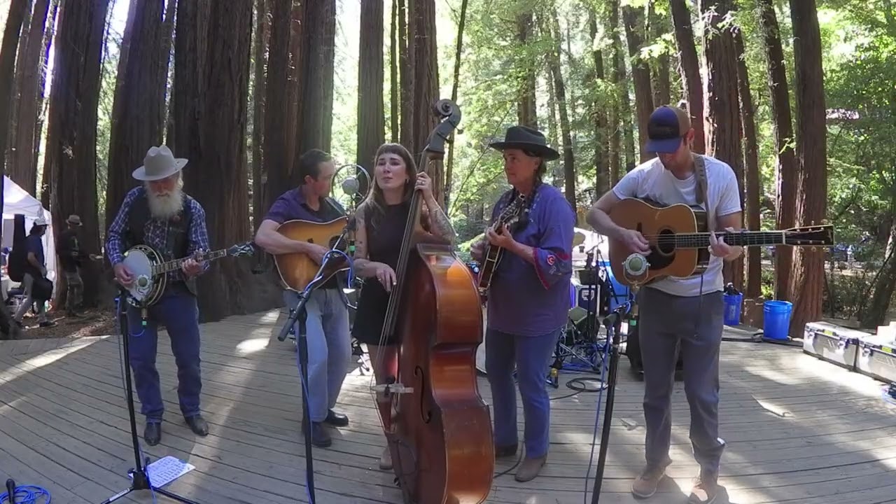 MCB at Mill Valley Fall Arts Festival 2025