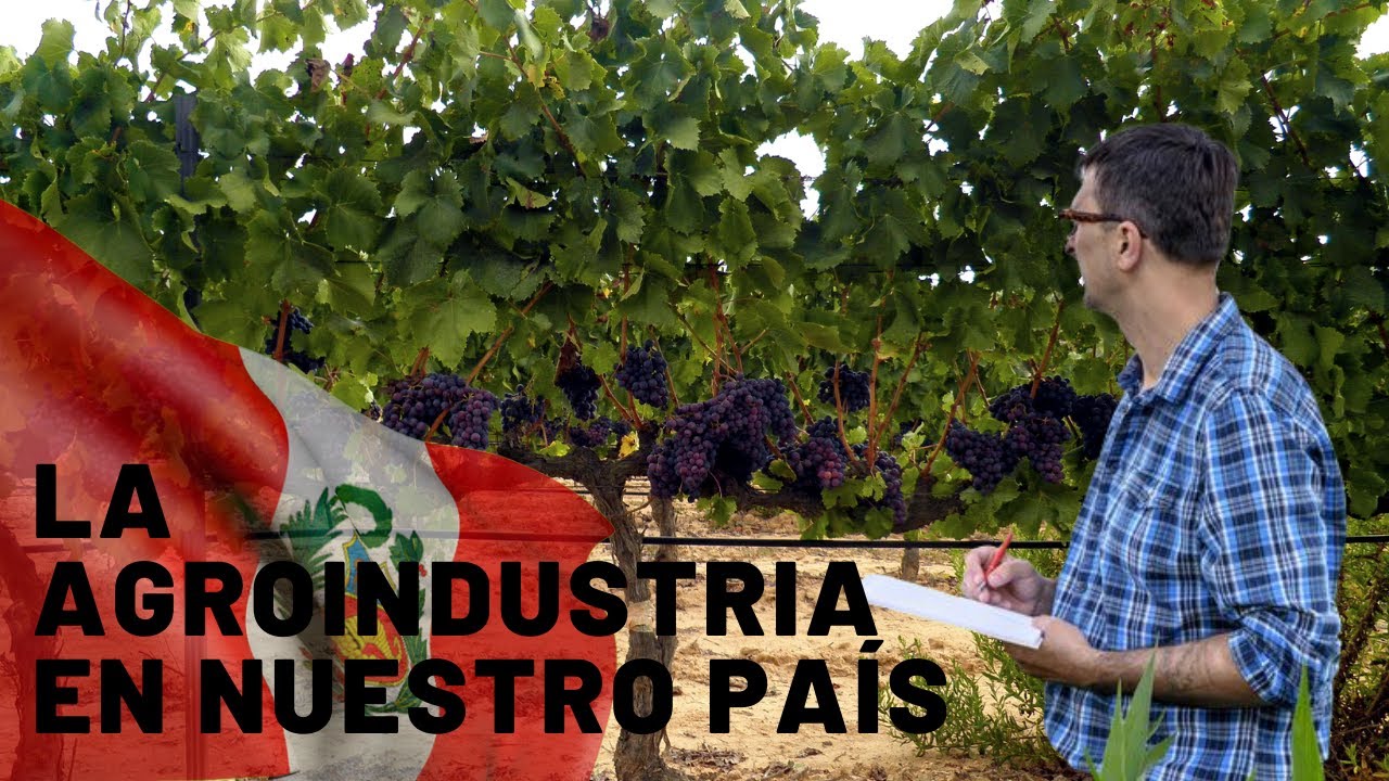 AGRONEGOCIOS PERU