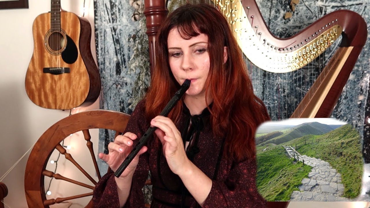 Rocky Road to Dublin - Tin Whistle