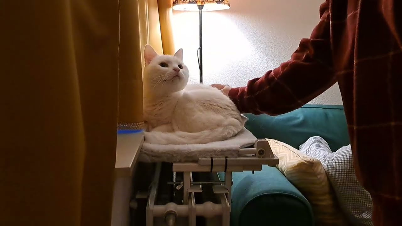 Heated bath