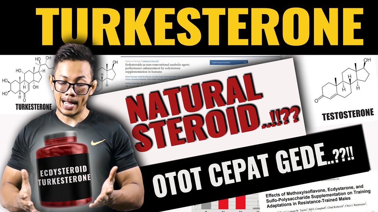 NATURAL STEROID..??!! Manfaat, efek samping, dan fakta lain seputar TURKESTERONE