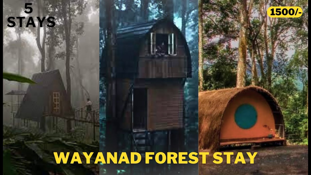 FOREST STAY | WAYANAD  | WILD VIBES | TAMIL VLOG | @oneworld2travel