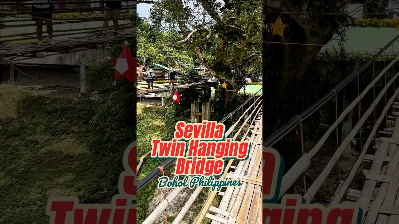 Sevilla Twin Hanging Bridge , Bohol Philippines