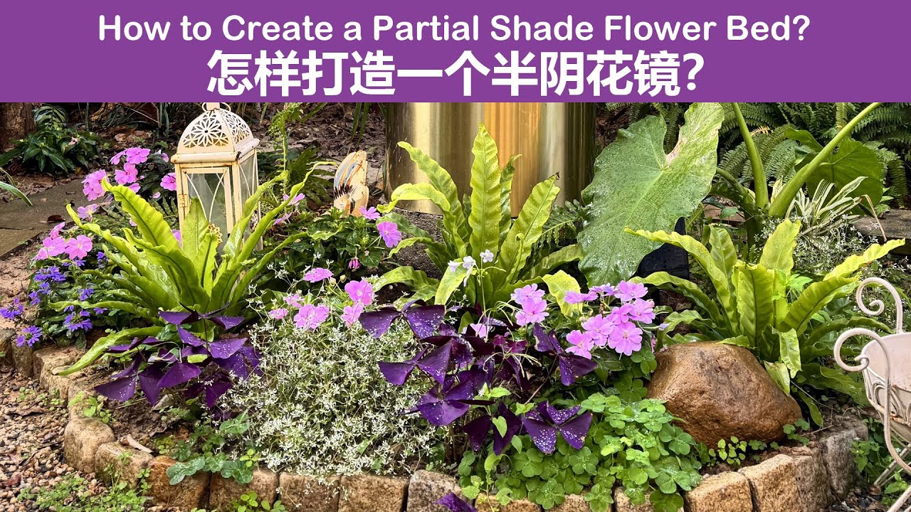 怎样打造一个半阴生的花镜？How to Create a Partial Shade Flower Bed?