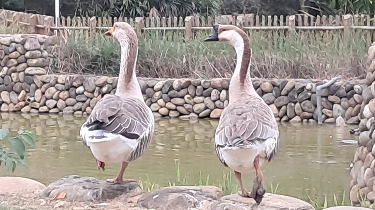 2025-26 徒步環島 Day 49