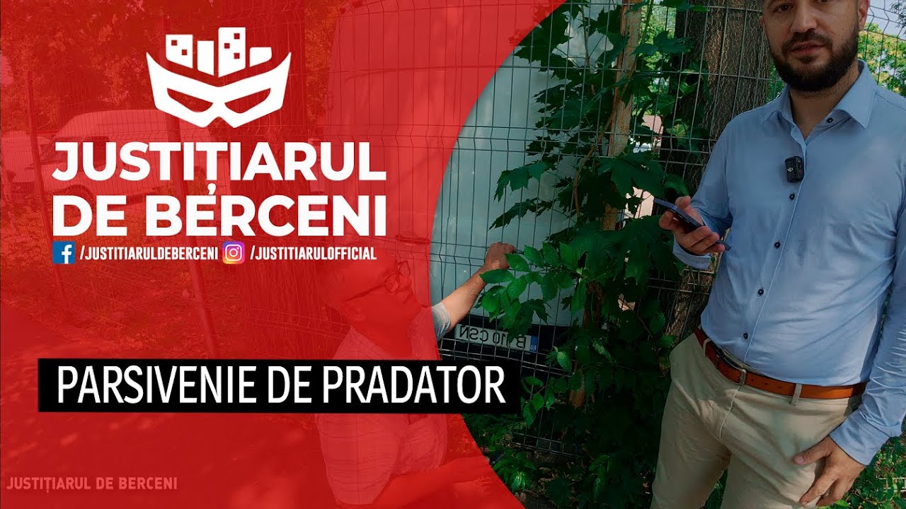 EPISODE 184: NEA IONUT DIN BELGIA - AVENTURI CU MINORE IN ROMANIA
