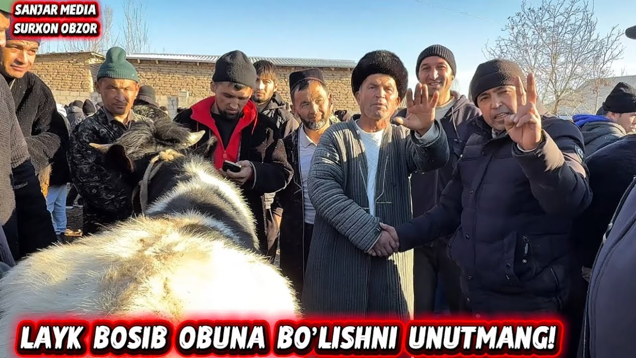 OLTINSOY MIRSHODI BOZORIDAGI REAL NARXLAR 10.01.2026y