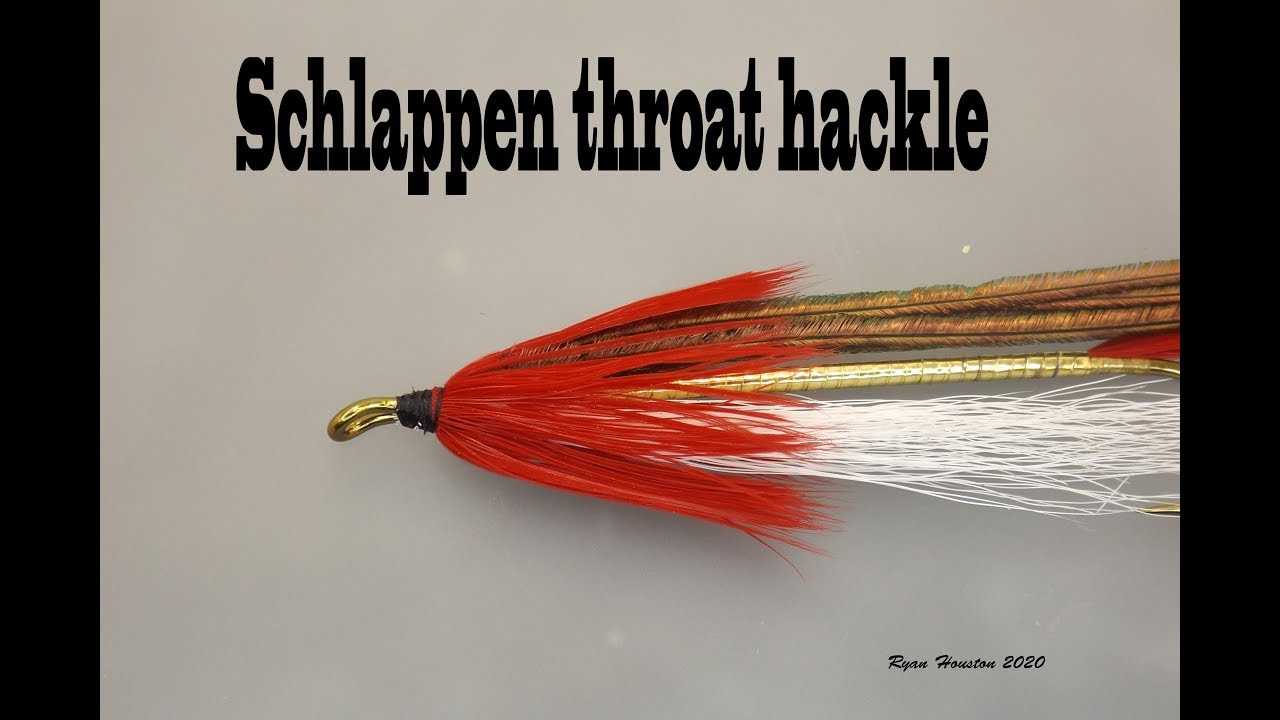 SCHLAPPEN THROATS ON STREAMER FLIES  TYING THE CASABLANCA PART 3 WITH RYAN HOUSTON