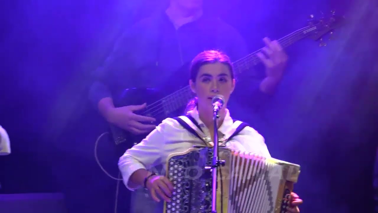 Grupo de Concertinas Os Vouguinhas em Lobão Stª M. da Feira, 2025 (4)