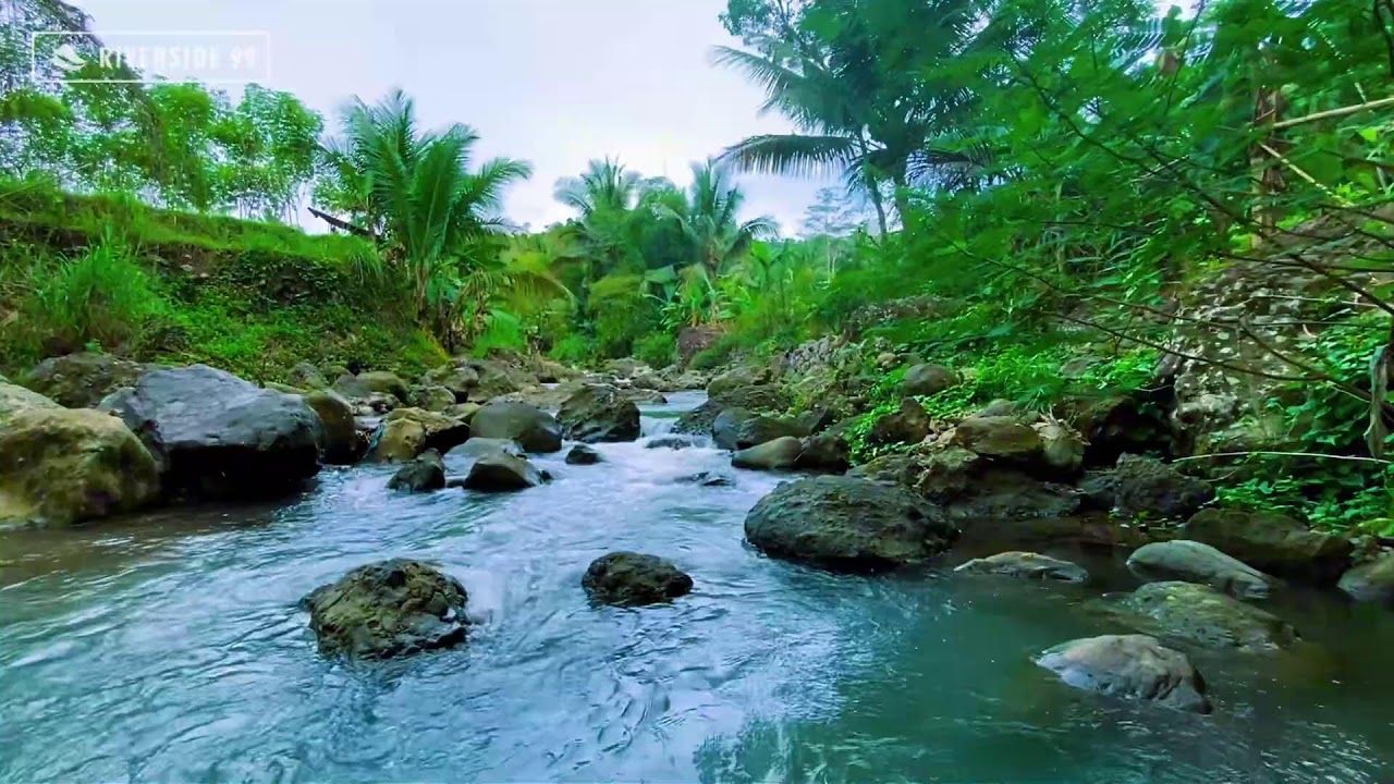 River Sounds for Sleeping 24/7 | Deep Relaxing Water Flow for Instant Night Sleep and relaxation #4