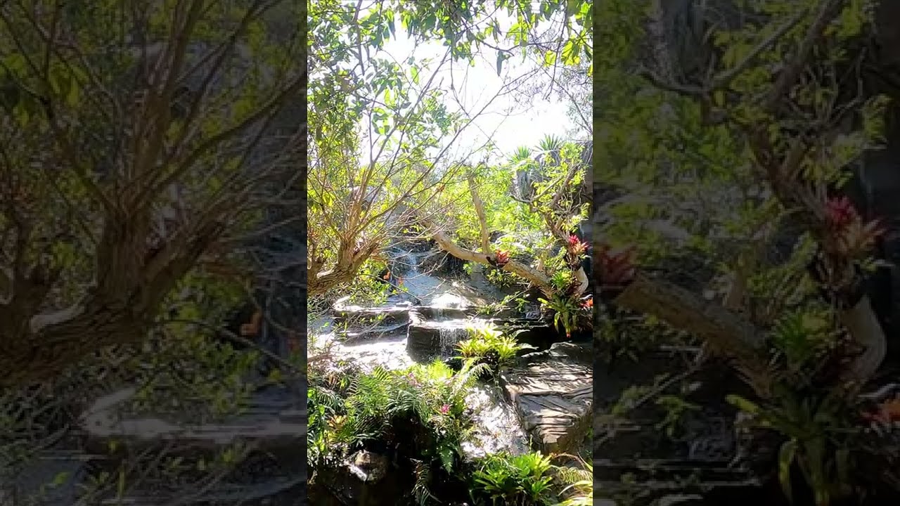 Beautiful Visuals - Sakon Nakhon, #Thailand - #Relaxing Sound #Waterfall #Ambience #Short No.2