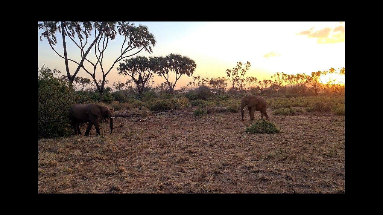Il était une fois au Kenya, un voyage Melting Pot Safaris !