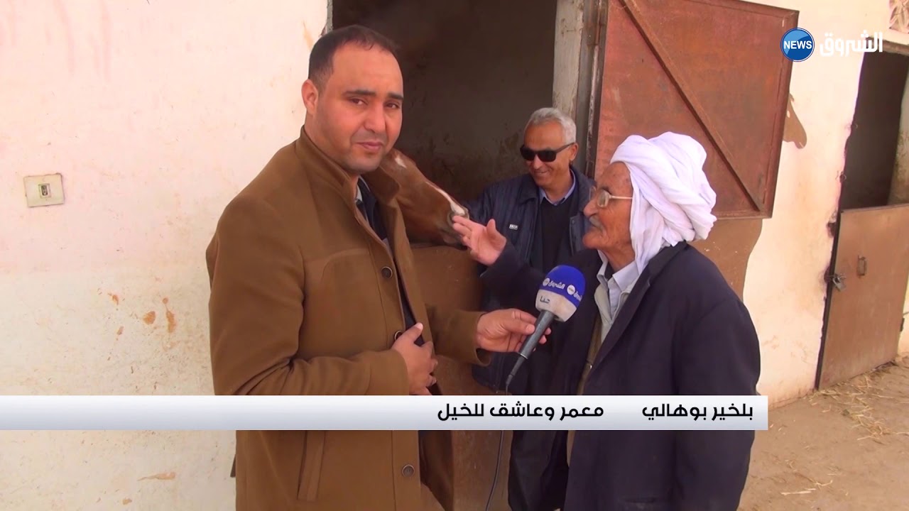 #الجلفة : عمي بلخير قرن من عشق الخيول