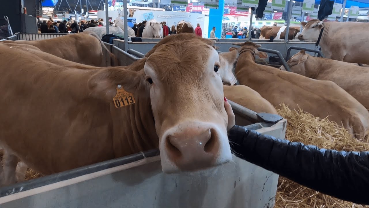 PARIS SALON DE L'AGRICULTURE 2020 4K