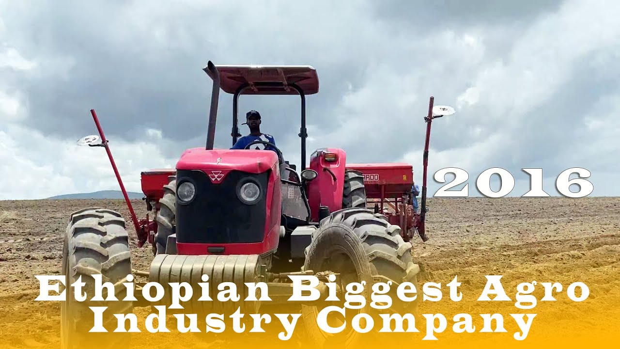 2016 E.C Anan Agro Industry Ethiopia