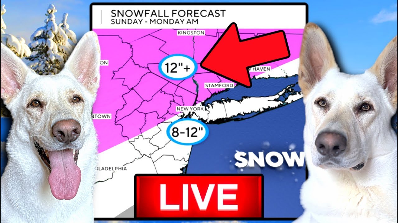 🔴 LIVE - New Jersey Blizzard!!