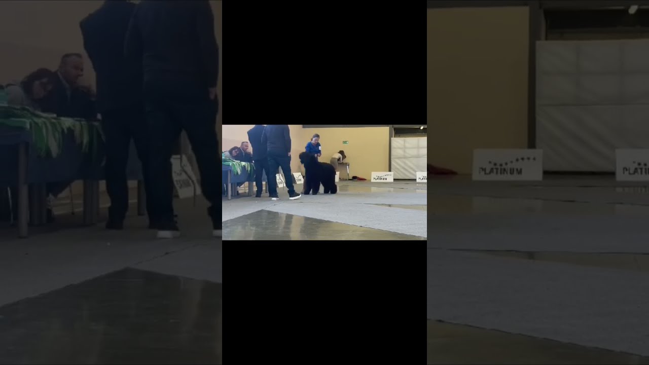 Питомник РЧТ 