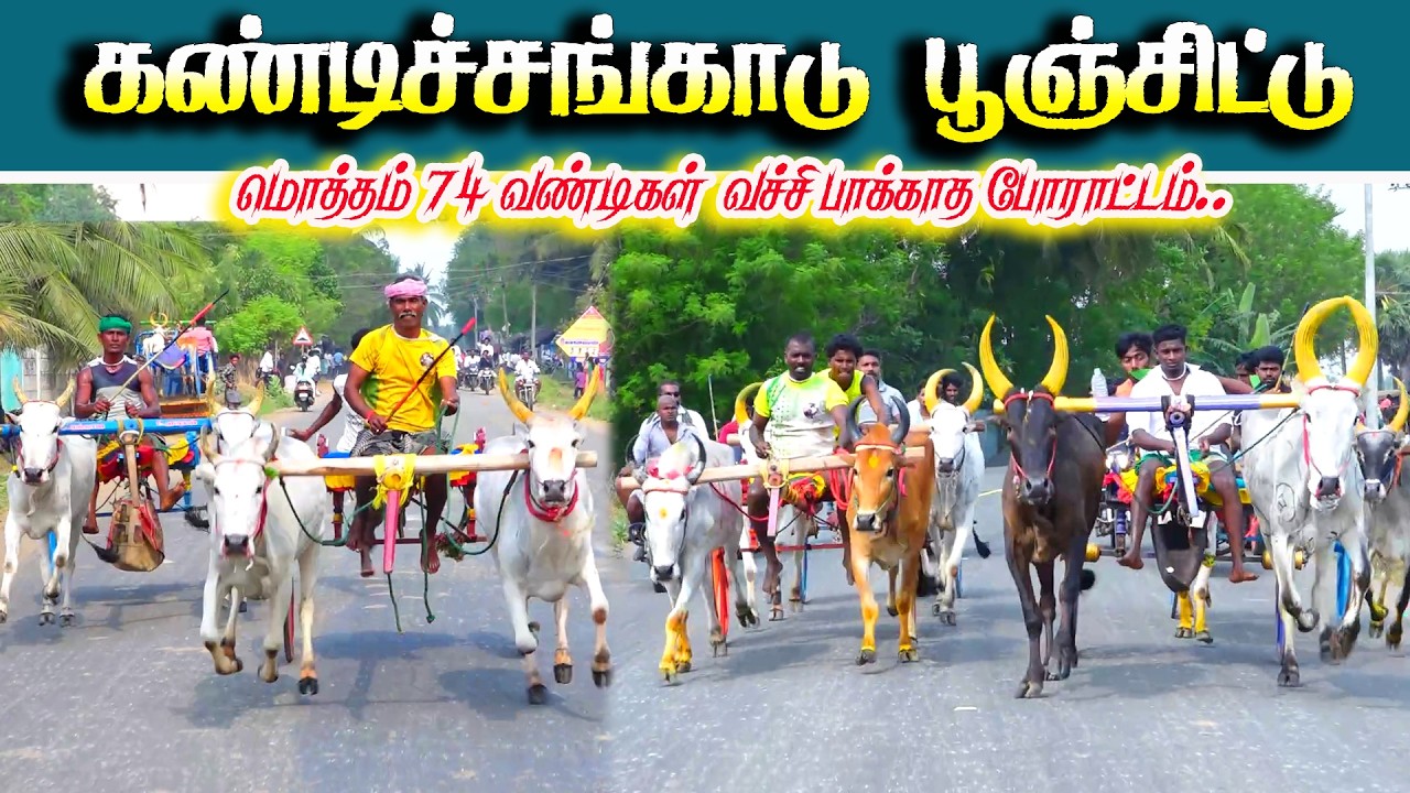 கண்டிச்சங்காடு பூஞ்சிட்டு 2 பந்தயம் 09.03.2026