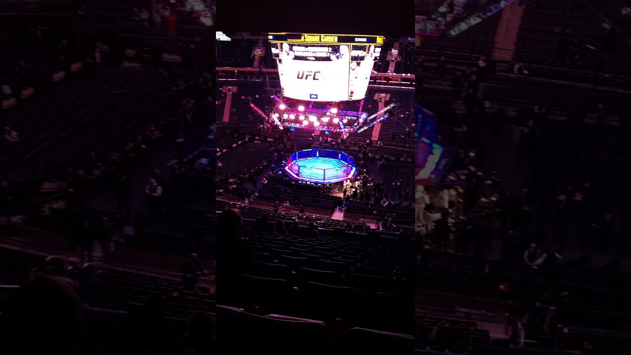 Ufc 268 MSG seats section 225 seats 14 and 15