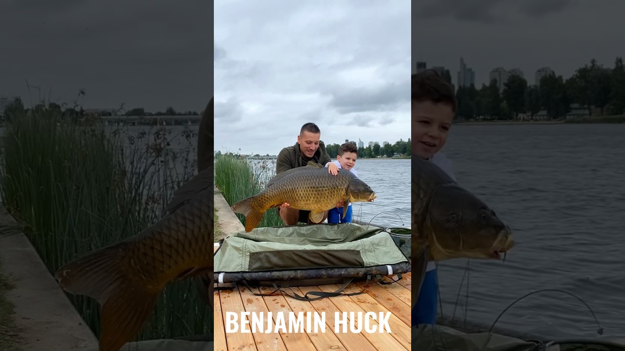 20+ kg 🎣 #carpfishing #fishing #karpfe #fisherman #angler #benjaminhuck #foxrx #carprun #run #urban