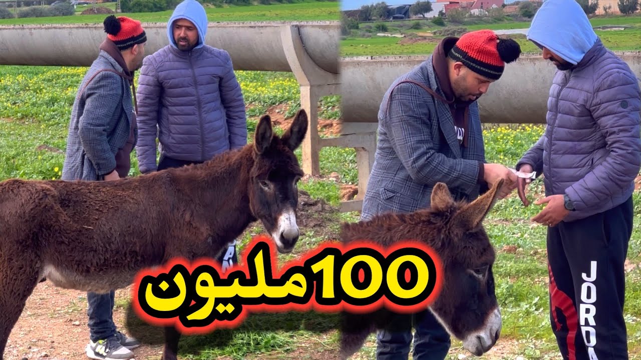خونا سمع 100مليون  هو يتقلب عليا