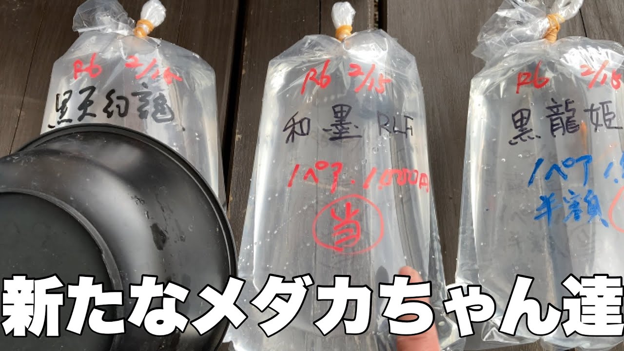 【癒し屋太宰府さん】はるくんに秘密で行ってきました！