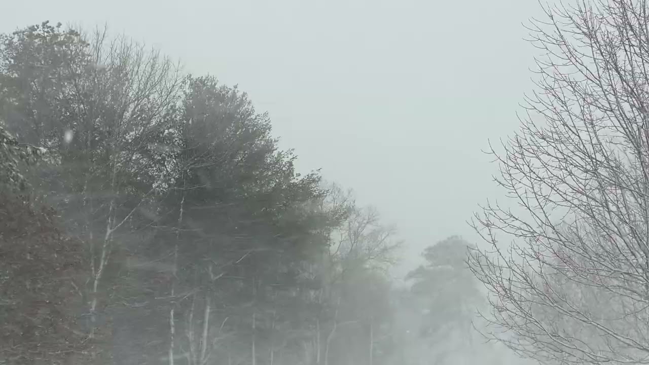 Plymouth Massachusetts Blizzard. 65mph gusts well over a foot of snow already
