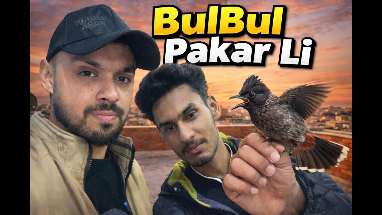 Daily Vlogs Life  Bulbul Pakarli | Comedy Shorts Video 😂