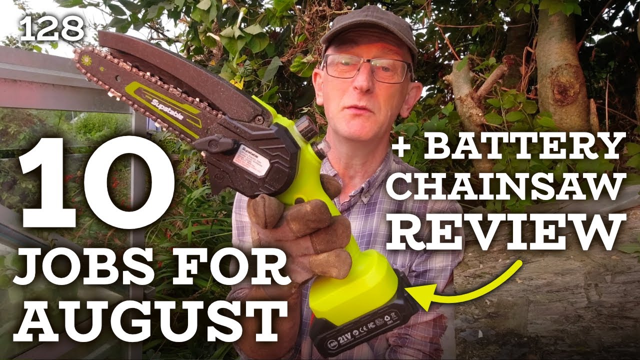 10 allotment jobs for August + Battery Chainsaw Review & Powdery Mildew Recipe