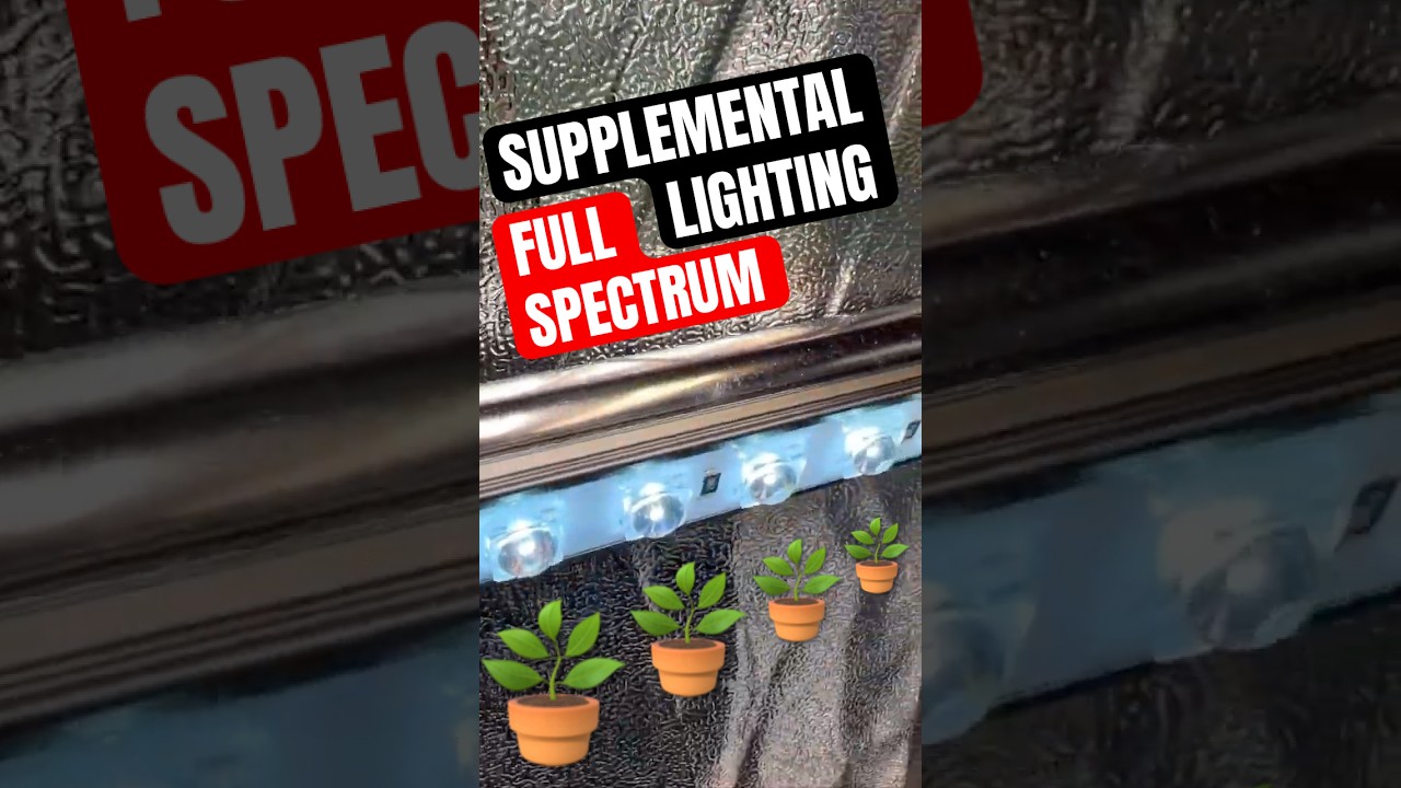 Ionbeam s16 Full Spectrum Supplemental Lighting