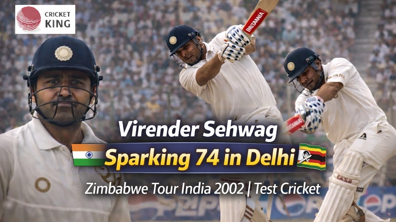 Virender Sehwag Sparkling Batting 74 in Delhi | Zimbabwe Tour Of India 2002