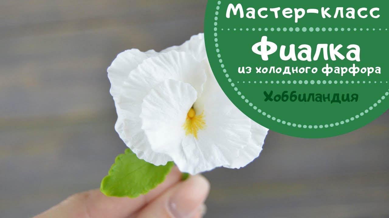 МАСТЕР-КЛАСС 