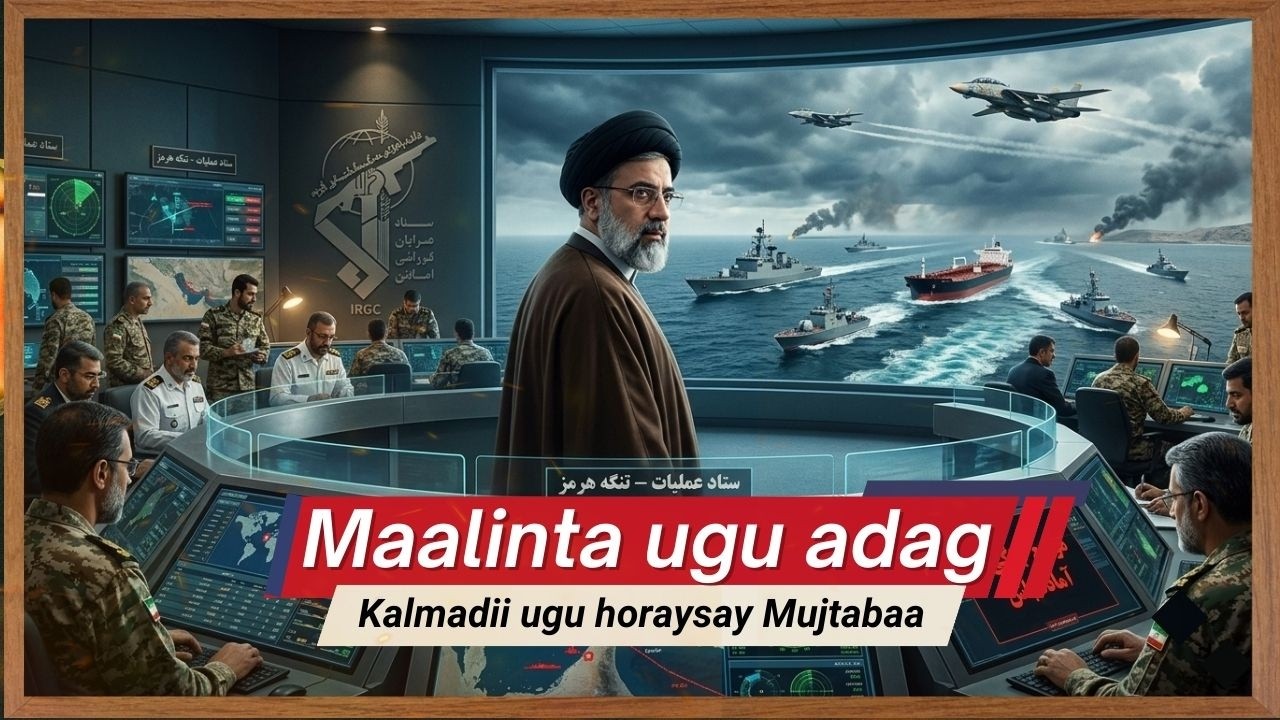 Maalinta ugu dag dagaalka |Khasaaraha Maraykanka oo meel xun maraayo |kalmadii ugu horaysay Mujtaba.