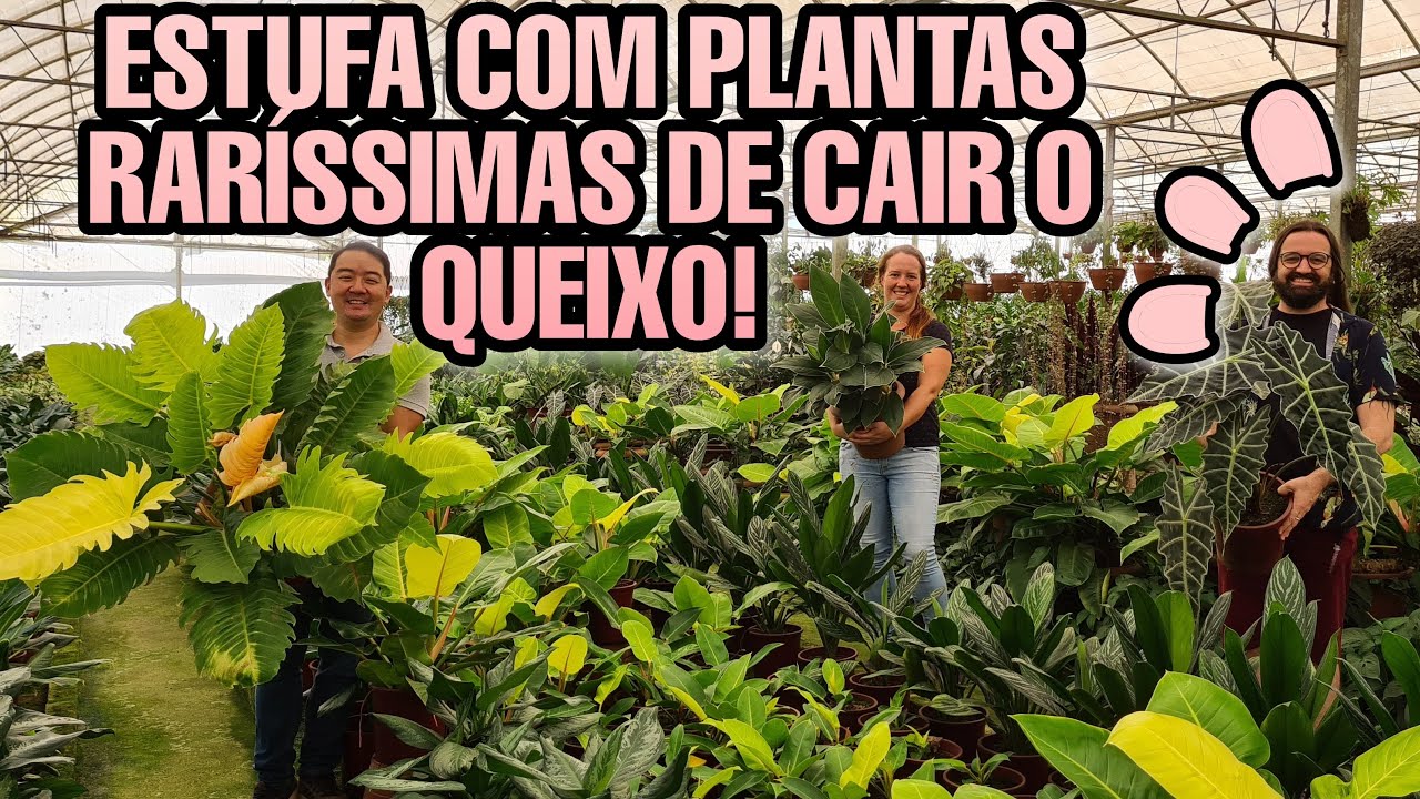 Ela tem o JARDIM / ESTUFA  mais incrível que já visitei  - PLANTAS RARÍSSIMAS