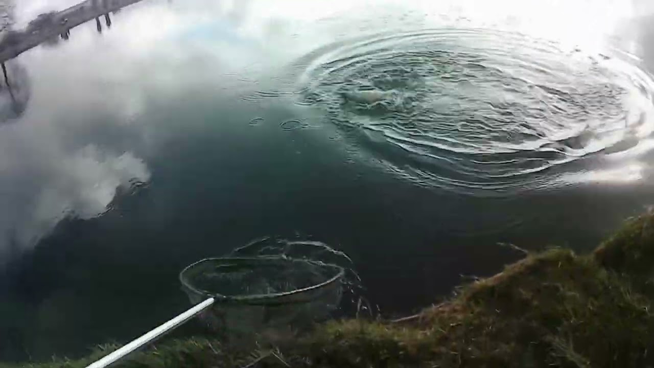 Newhouse fishery