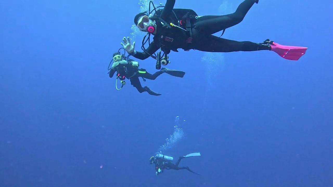 Shaab Sharm - Marsa Alam - TGI Diving - 30 Giugno 2025