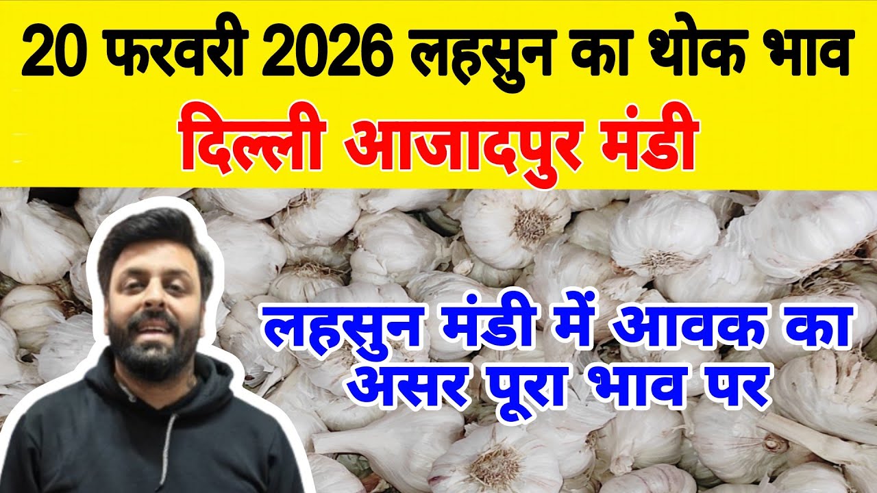 20 Feb 2026 | Today Garlic Market Price | Garlic Price The Shocking Prediction #mandirates #garlic
