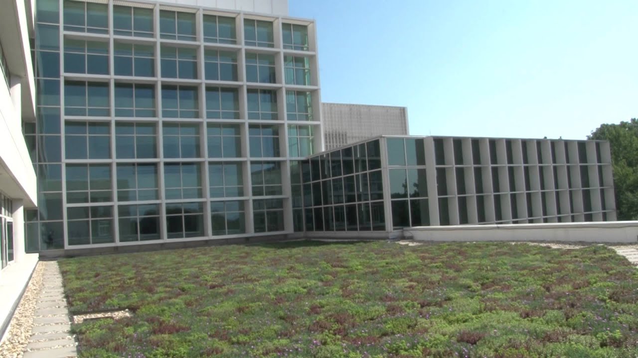 Cool Roofs Saving Energy