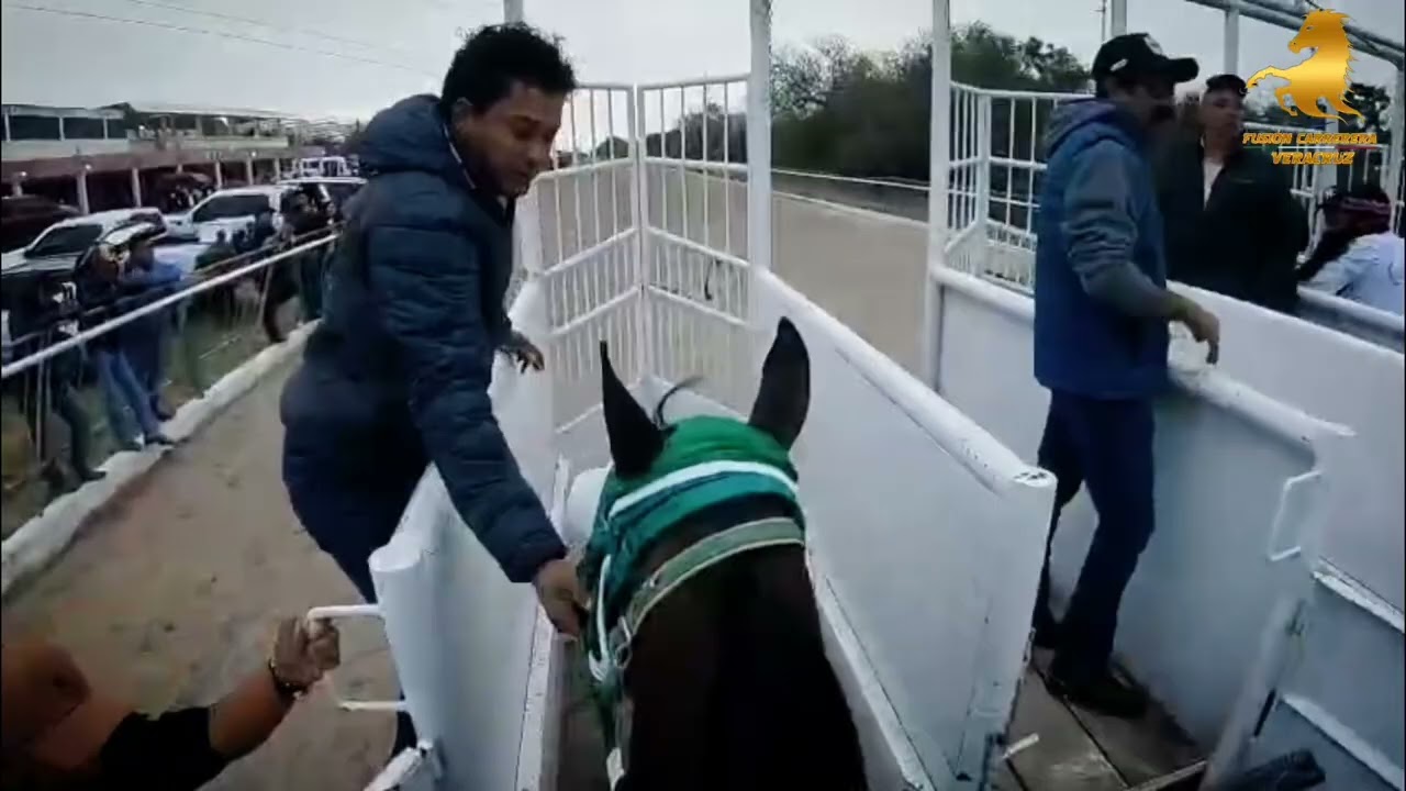 JockeyCam 