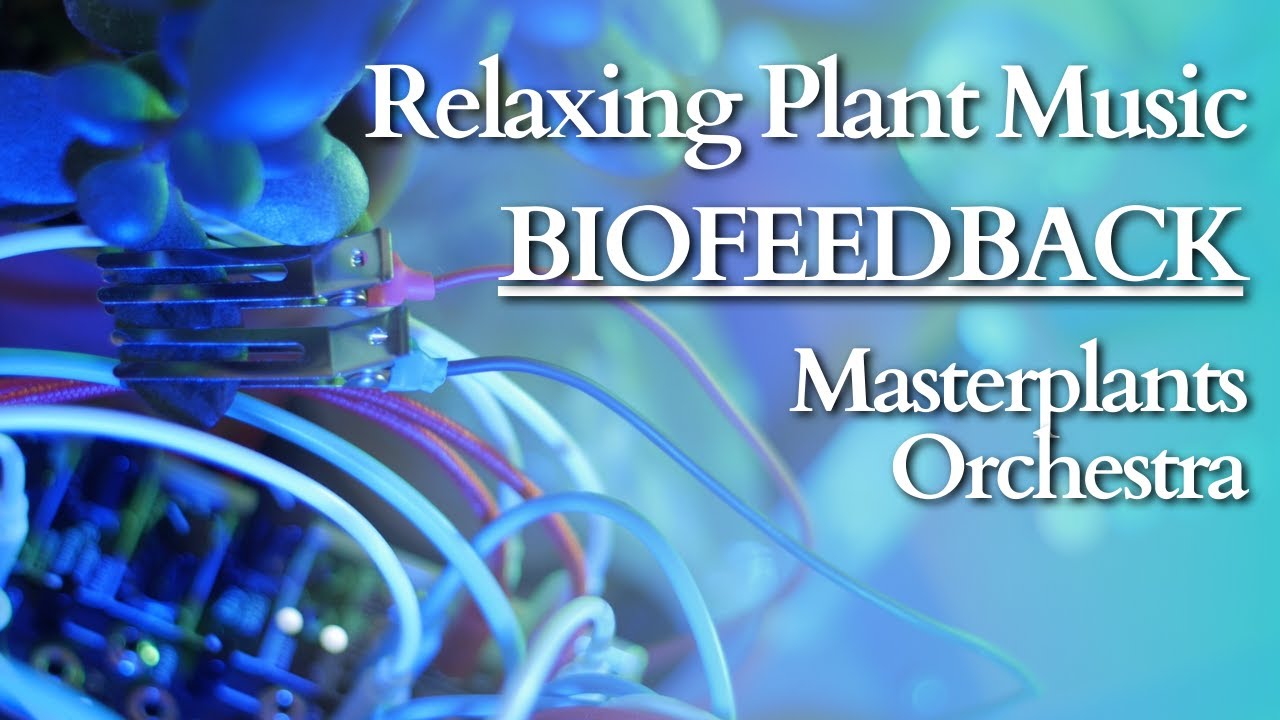 - Alien Nature - Relaxing Plant Music (Biofeedback) // 13 Mins Stress Relief