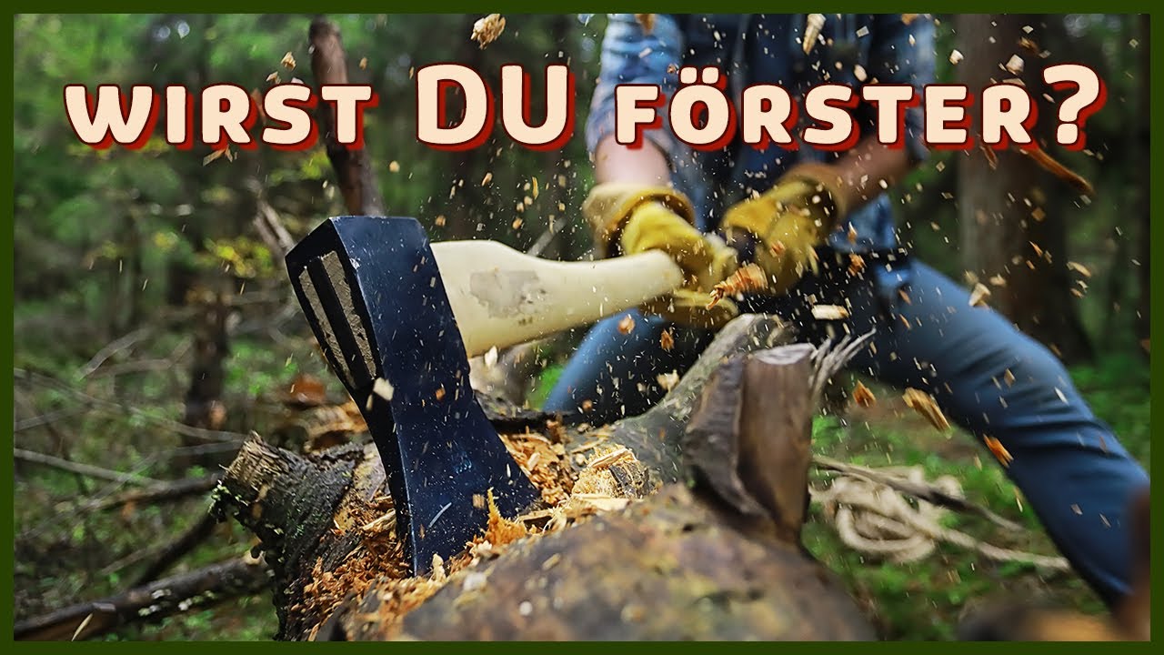 Soll ich Forstwirtschaft studieren? (Ein Förster antwortet)