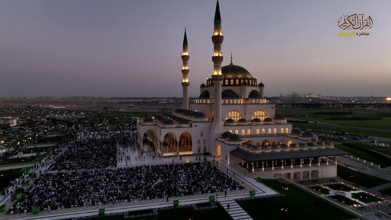 بث مباشر سفرة الافطار