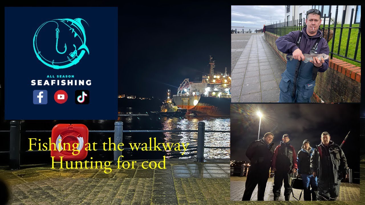Fishing the walkway hunting for cod
