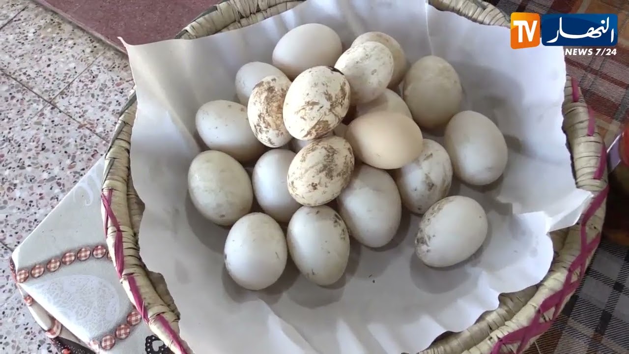 مجتمع : حمام ملوان.. ملتقى عشاق الأجبان في رمضان