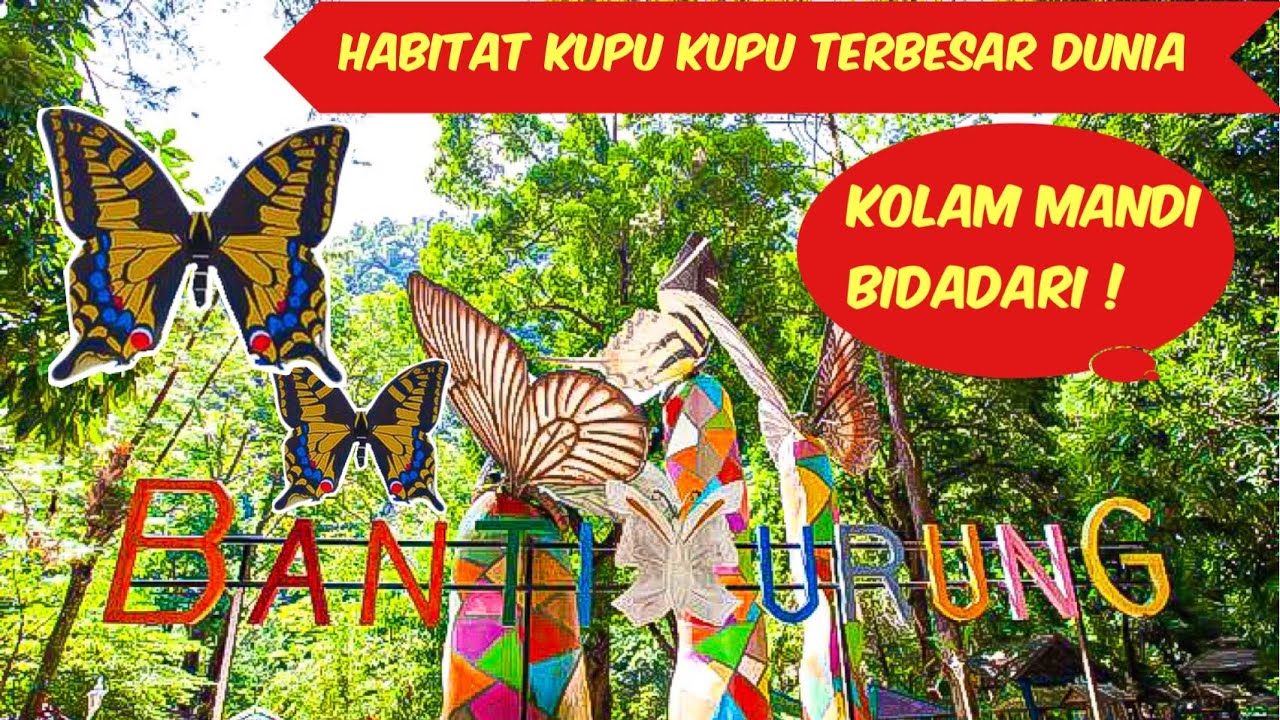 WISATA ALAM BANTIMURUNG, HABITAT KUPU KUPU TERBESAR DI DUNIA