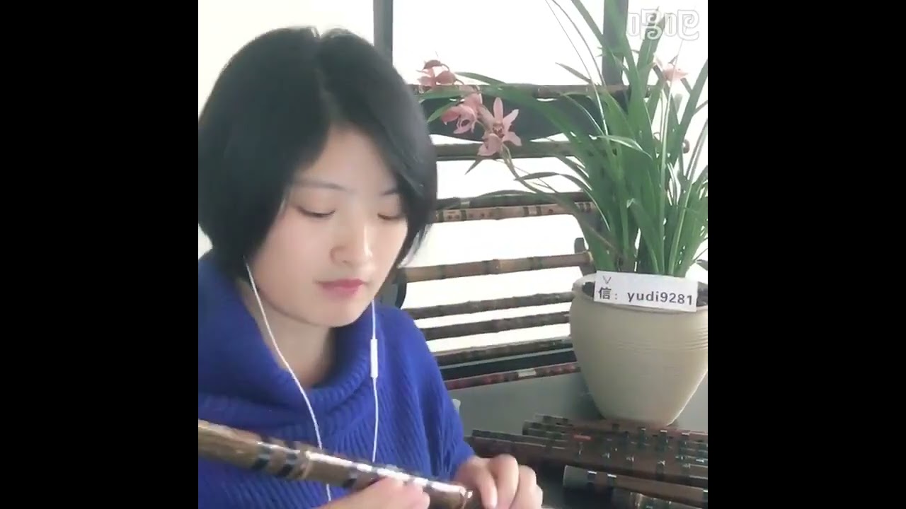 竹笛笛子独奏《沙漠骆驼》YUDI