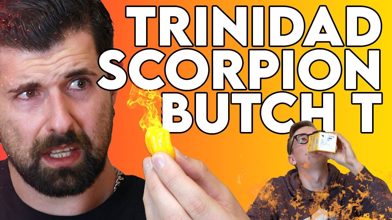 CHILI SCHÄRFE WELTREKORD bis 2011 - Trinidad Scorpion Butch T! (1.460.000 Scoville!!) | ZSV #7